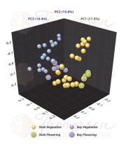 cube data