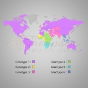 genotype