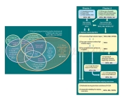 organizational charts