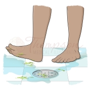 shower germs