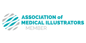 logo-ami